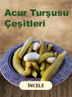 Acur Turşusu